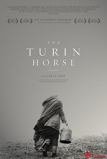 Con Ngựa Thành Turin