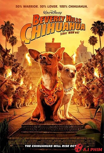 Những Chú Chó Chihuahua Ở Đồi Beverly
