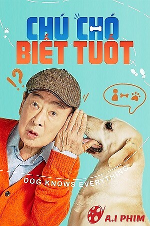 Chú Chó Biết Tuốt - Dog Knows Everything