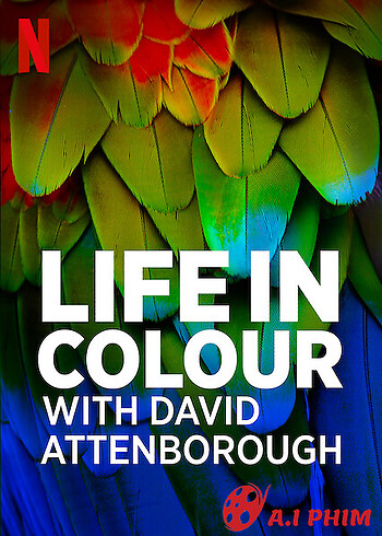 David Attenborough: Sự Sống Đầy Màu Sắc