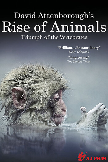 David Attenborough's Rise Of Animals: Triumph Of The Vertebrates
