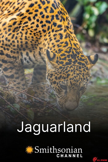 Jaguarland