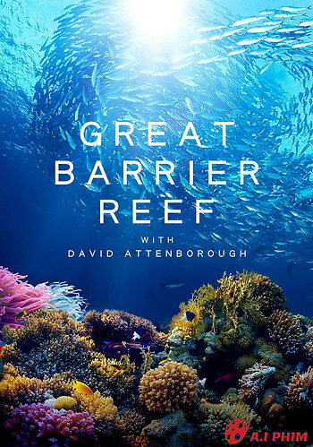 Khám Phá Rạn San Hô Great Barrier Cùng David Attenborough
