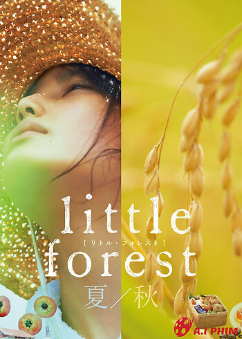 Little Forest: Summer/autumn