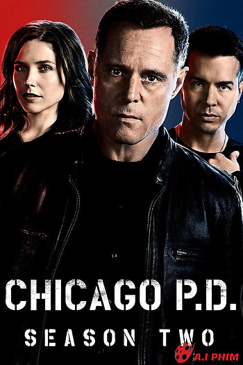 Sở Cảnh Sát Chicago (Phần 2) - Chicago P.d. (Season 2)